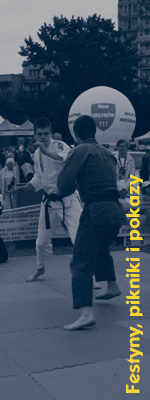 Festyny i pokazy judo